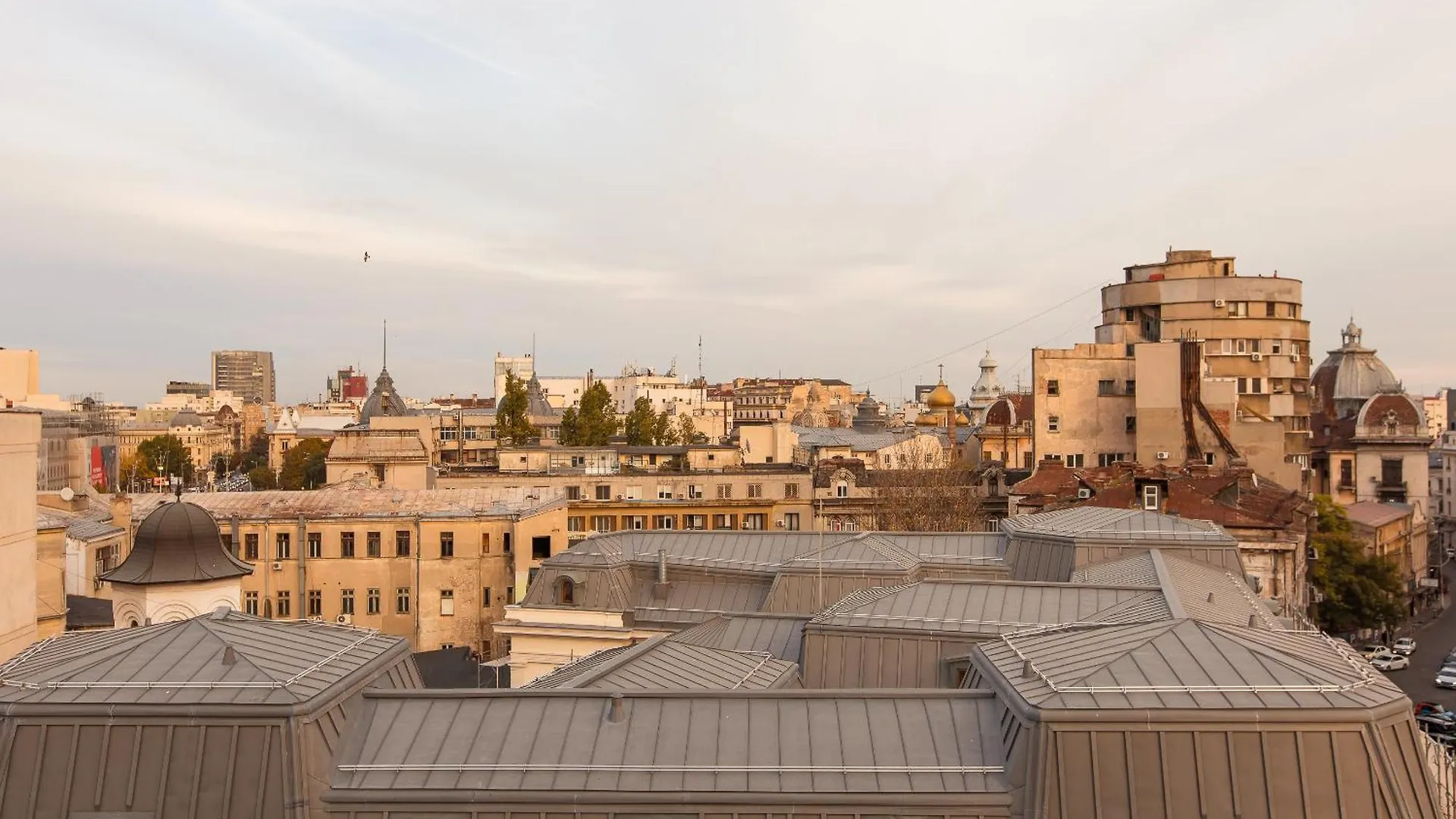 Apartment Royalty Apt With City Views On Calea Victoriei Bucharest